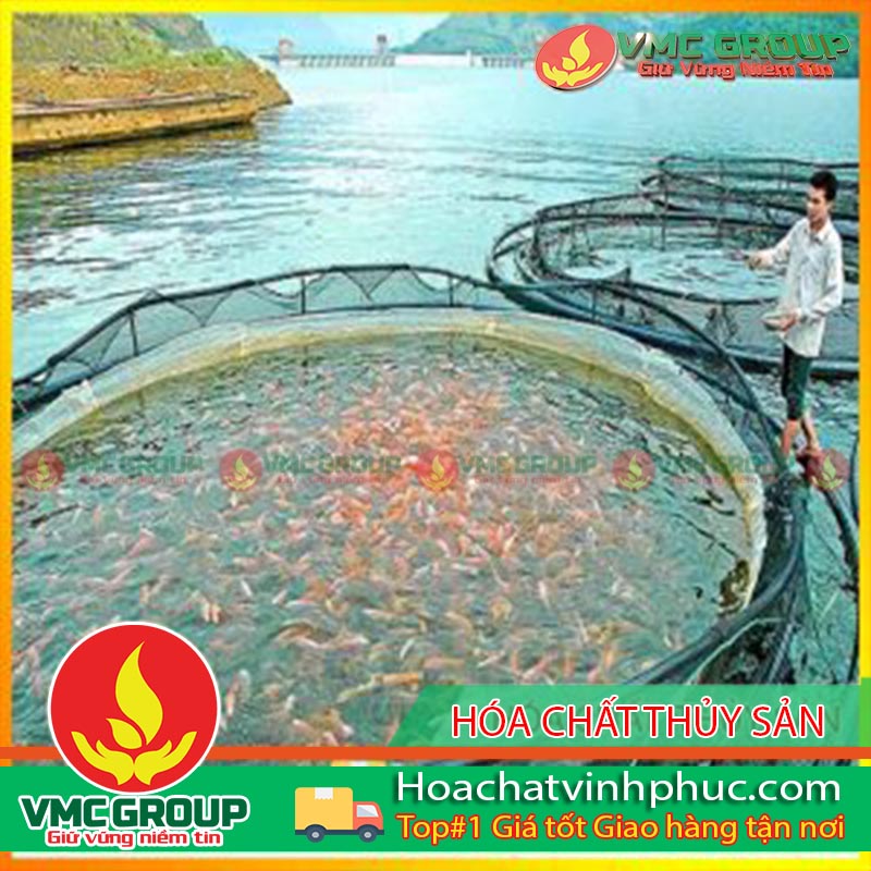 hóa - chất - thủy - sản